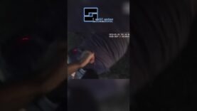 Cops-Tase-Deaf-Man-When-He-Doesnt-Respond